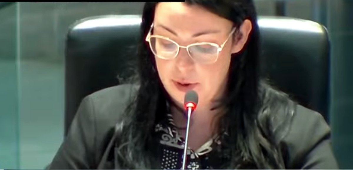 Victoria Williston presenting the district organization's annual meeting report to Ottawa City Council